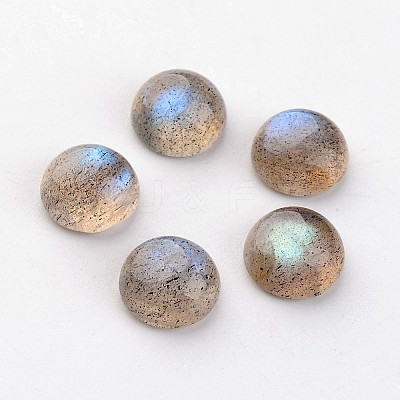 Natural Labradorite Cabochons G-D804-02-1