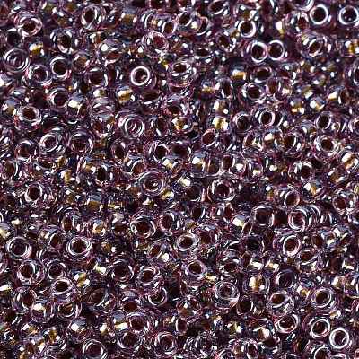 MIYUKI Round Rocailles Beads X-SEED-G009-RR3206-1
