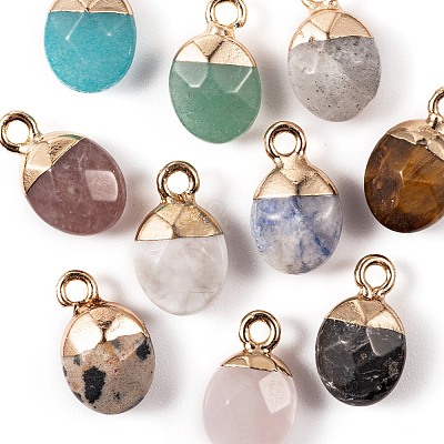 10Pcs 10 Style Natural Gemstone Charms G-LS0002-15-1