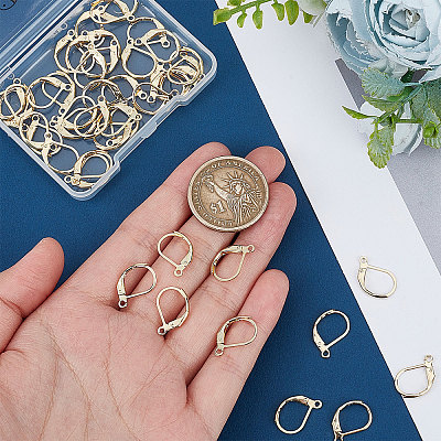 50Pcs 304 Stainless Steel Leverback Earring Findings STAS-BBC0001-44G-1