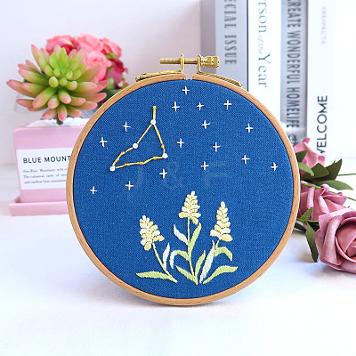 Flower & Constellation Pattern 3D Bead Embroidery Starter Kits DIY-P077-088-1