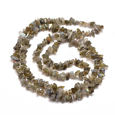 Natural Labradorite Chip Bead Strands X-G-M205-13-1