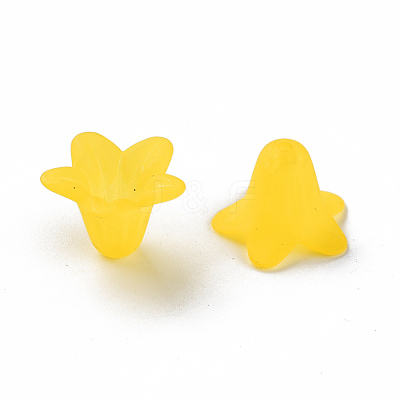 Transparent Acrylic Beads PLF018-19-1