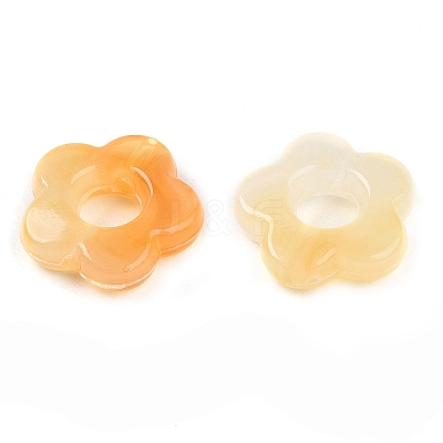Gradient Color Transparent Acrylic Beads OACR-N137-49S-1