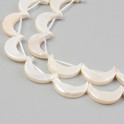 Electroplate Natural Freshwater Shell Beads Strands X-SHEL-T017-16D-1