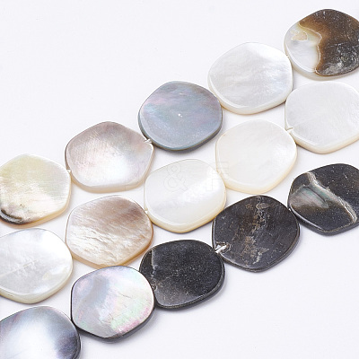 Black Lip Shell Beads Strands X-BSHE-T002-02-1