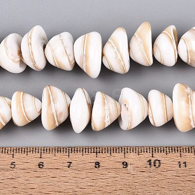 Natural Sea Shell Beads Strands SHEL-Q028-02-1