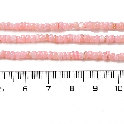 Natural Freshwater Shell Beads Strands SHEL-P017-01B-09-1