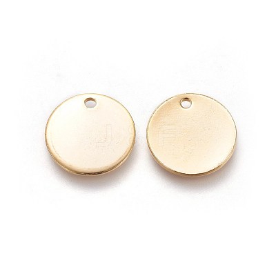 304 Stainless Steel Charms X-STAS-I098-06-1
