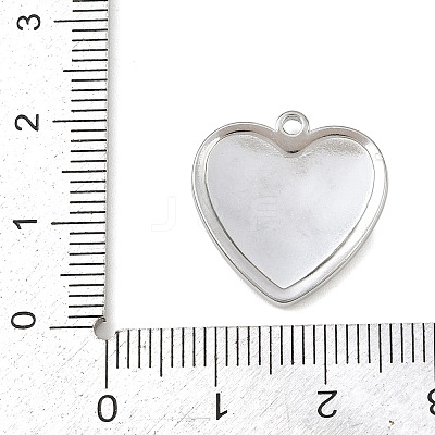 304 Stainless Steel Pendants STAS-C154-05A-P-1
