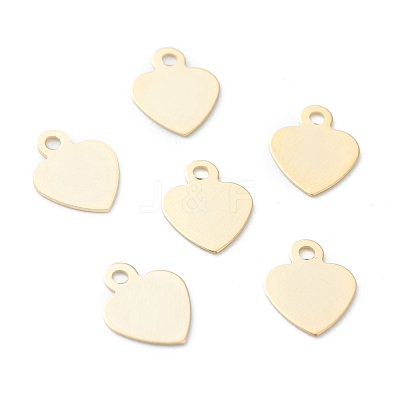 304 Stainless Steel Charms STAS-H149-19G-1