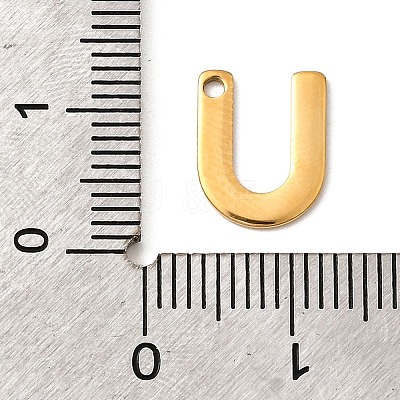 304 Stainless Steel Charms STAS-B093-12G-U-1