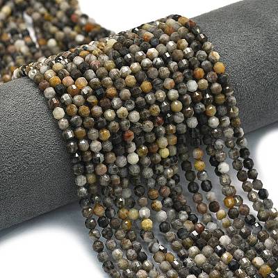 Natural Larvikite Beads Strands G-A260-A23-01-1