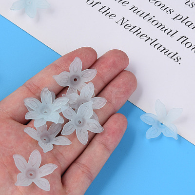 Transparent Acrylic Beads MACR-S373-127-D02-1