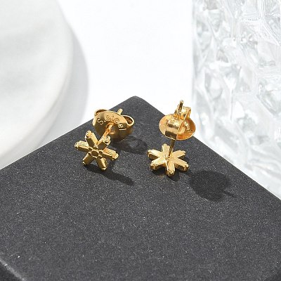 304 Stainless Steel Stud Earrings for Women LS-STAS-Z117-14G-04-1