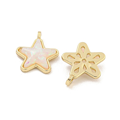 Translucent Resin Pendants KK-M291-24C-1