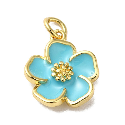 Rack Plating Brass Enamel Charms KK-O142-56G-01-1