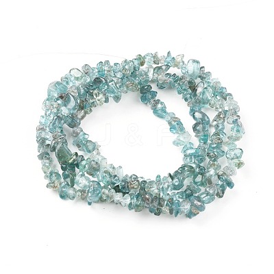 Natural Apatite Beads Strands G-F666-01B-01-1