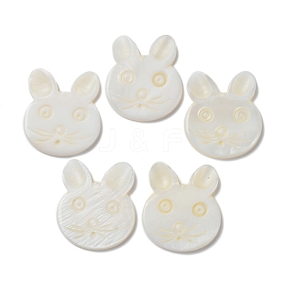 Natural Freshwater Shell Beads BSHE-P033-12-1