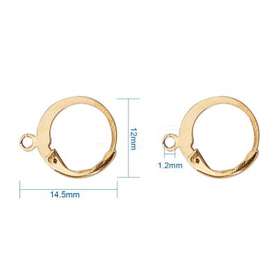 304 Stainless Steel Leverback Earring Findings STAS-G081-62G-1