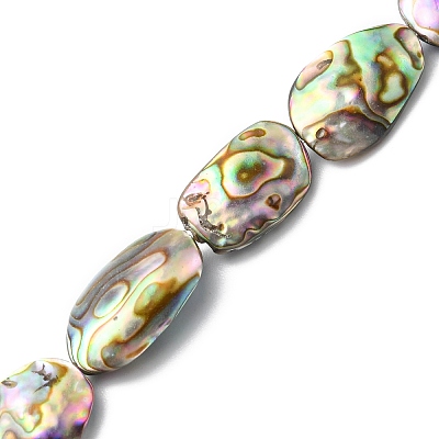 Natural Paua Shell Beads Strands SHEL-F006-03-1