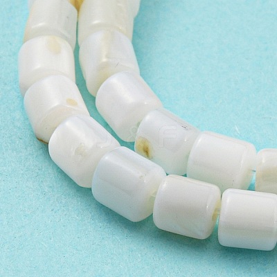 Natural Freshwater Shell Beads Strands SHEL-F008-04A-1