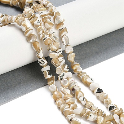 Natural Trochus Shell Beads Strands BSHE-H109-10-1
