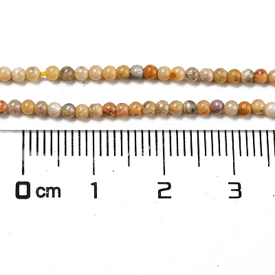 Natural Crazy Lace Agate Bead Strands X-G-A130-2mm-K10-1
