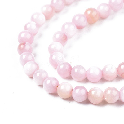 Natural Freshwater Shell Beads Strands X-BSHE-T009A-01C-1