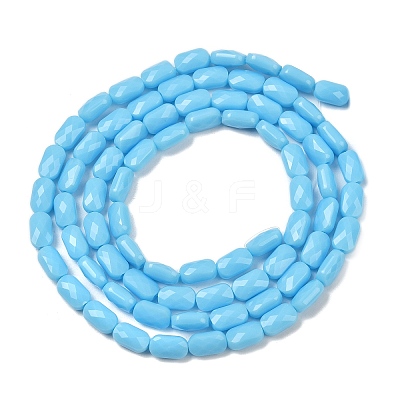 Opaque Glass Beads Strands GLAA-Z018-D20-1