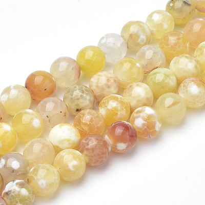Dyed Natural Fire Crackle Agate Beads Strands G-Q462-127D-8mm-1