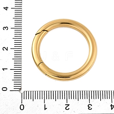304 Stainless Steel Spring Gate Rings STAS-V012-03G-1