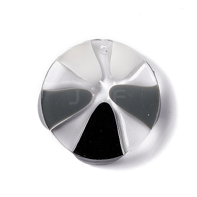 Transparent Resin Pendants RESI-E029-03C-1