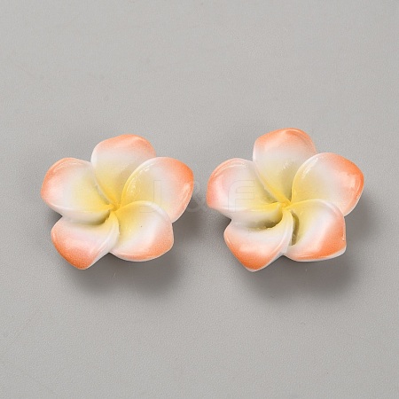Two Tone Resin Cabochons RESI-WH20010-01D-1