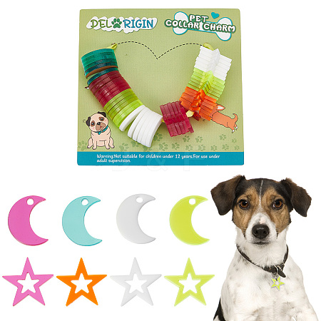 48Pcs 2 Style 4 Colors Transparent Blank Acrylic Pet Dog ID Tag PALLOY-AB00044-1