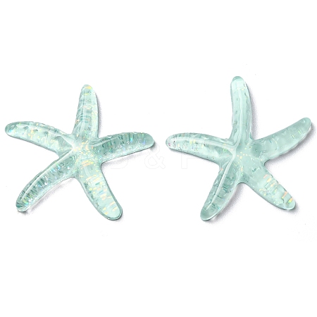 Translucent Resin Sea Animal Cabochons LS-RESI-B016-01F-1