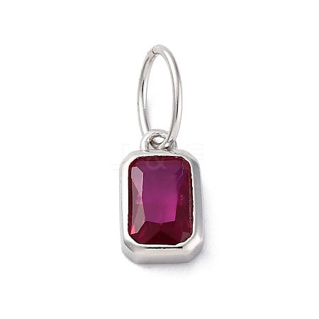 925 Sterling Silver Cubic Zirconia Charms STER-NH0014-01P-07-1