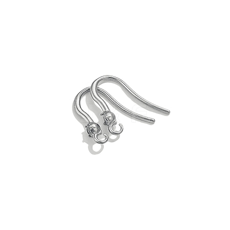 304 Stainless Steel Earring Hooks STAS-WH0048-26H-P-1