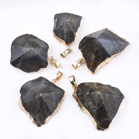 Electroplate Natural Labradorite Pendants G-T112-13B-1