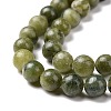 Natural Gemstone Beads GSR6mmC032-8