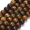 Natural Wealth Stone Beads Strands G-C289-B01-12mm-2