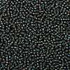 TOHO Round Seed Beads SEED-TR08-0383-2