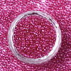 Glass Seed Beads SEED-S042-11A-02-2
