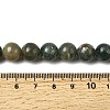 Natural Green Apatite Beads Strands G-K350-C04-10mm-5