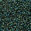 TOHO 11/0 Round Beads SEED-TR11-0179F-2