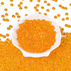 Transparent Colours Glass Seed Beads SEED-Q042-01A-B03-2