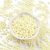 Baking Paint Glass Seed Beads SEED-A032-02I-2