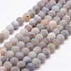 Frosted Natural Weathered Agate Beads Strands G-F374-8mm-02-1