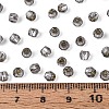 Silver Lined Glass Seed Beads SEED-T007-18A-04-4