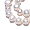 Natural Cultured Freshwater Pearl Beads Strands PEAR-N014-06F-01-4